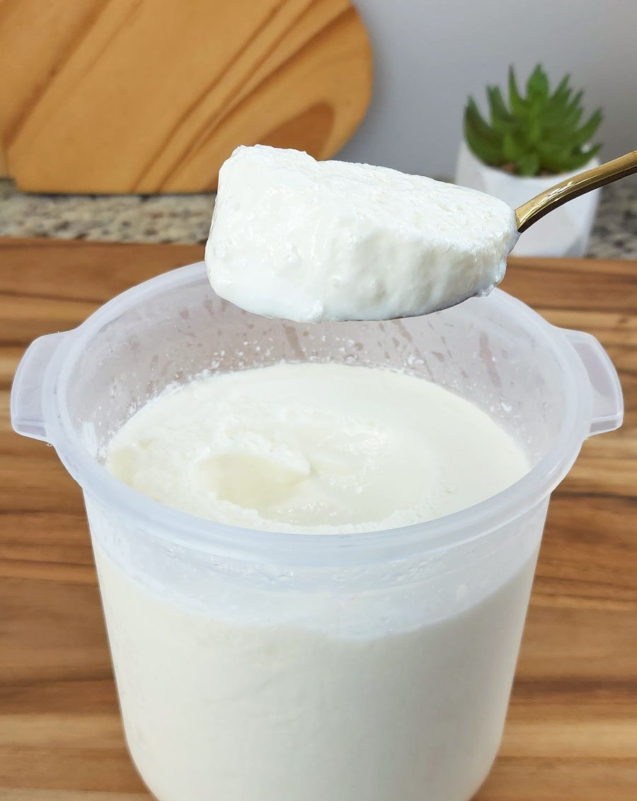 Kefir Sem Grãos
